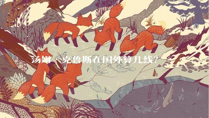 汤姆·克鲁斯在国外算几线？